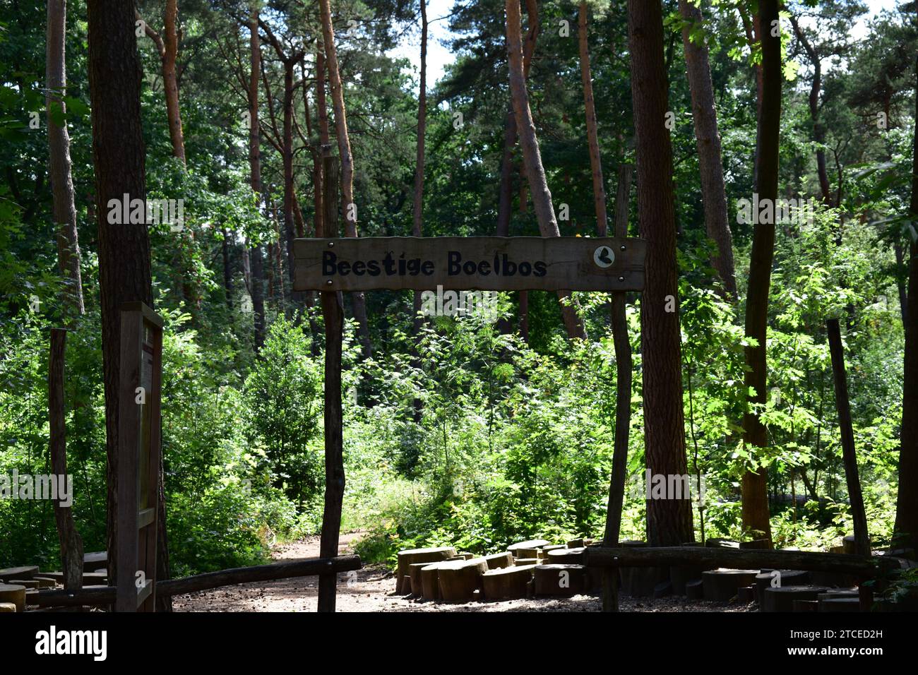 Cartello in legno con scritto "Beestige Boelbos" all'ombra dell'albero in una foresta nel parco nazionale di Mechelse Heide Foto Stock