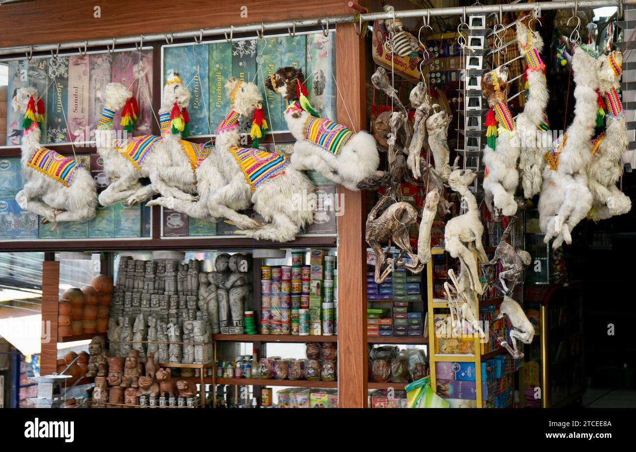 Feto di Llama essiccato in vendita nel mercato delle streghe. Sepolto sotto nuovi edifici per buona fortuna. La Paz, Bolivia. Foto Stock