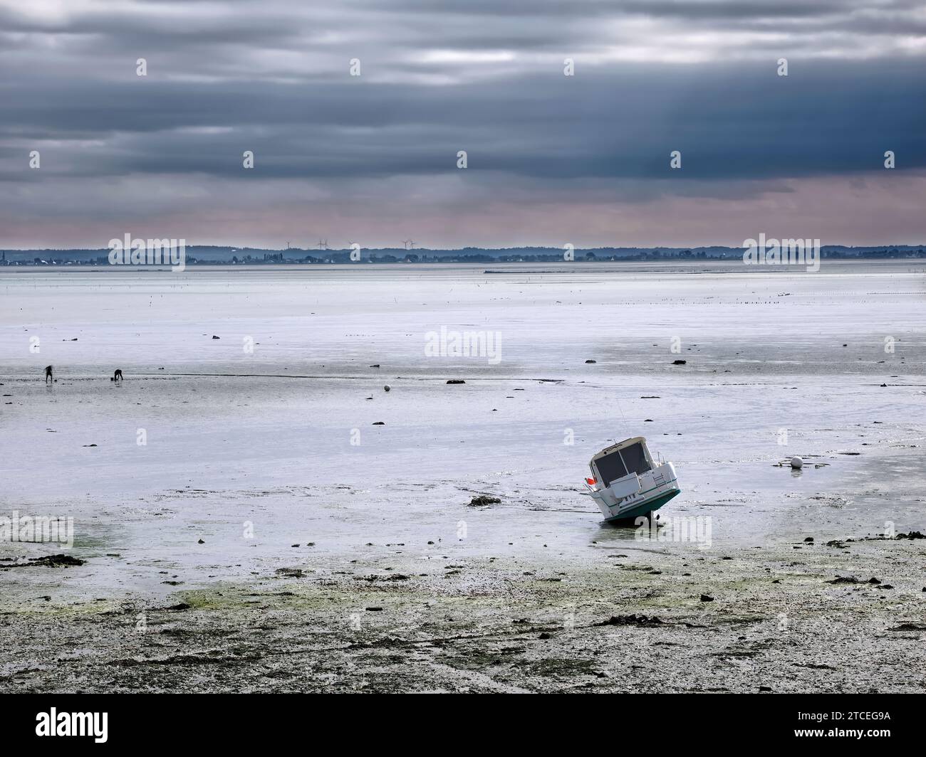 Barca con bassa marea a Cancale, un comune del dipartimento di Ille-et-Vilaine in Bretagna, nel nord-ovest della Francia. Foto Stock