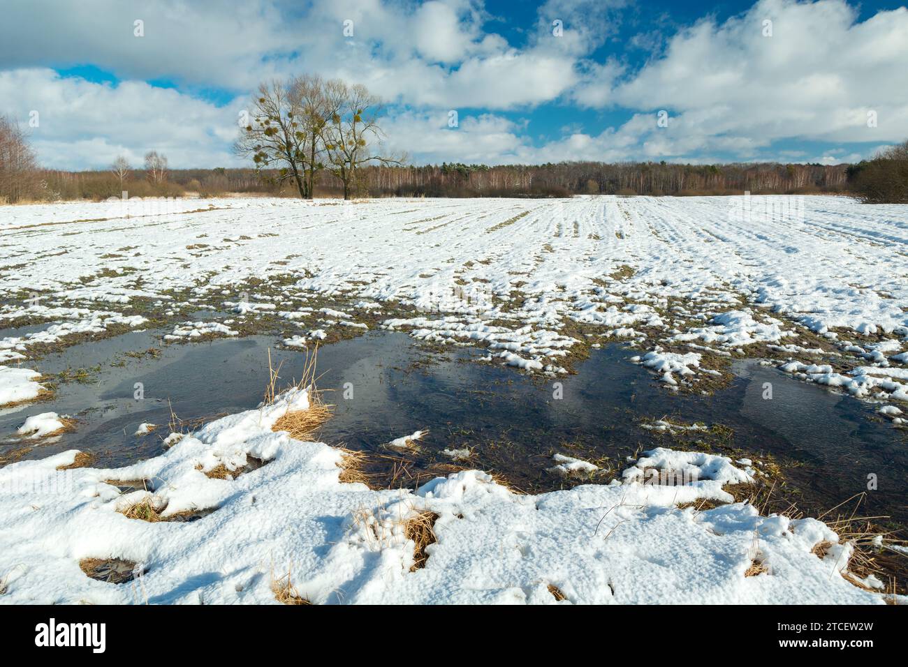 Scioglimento della neve in un campo rurale, giorno soleggiato di febbraio, Polonia orientale Foto Stock