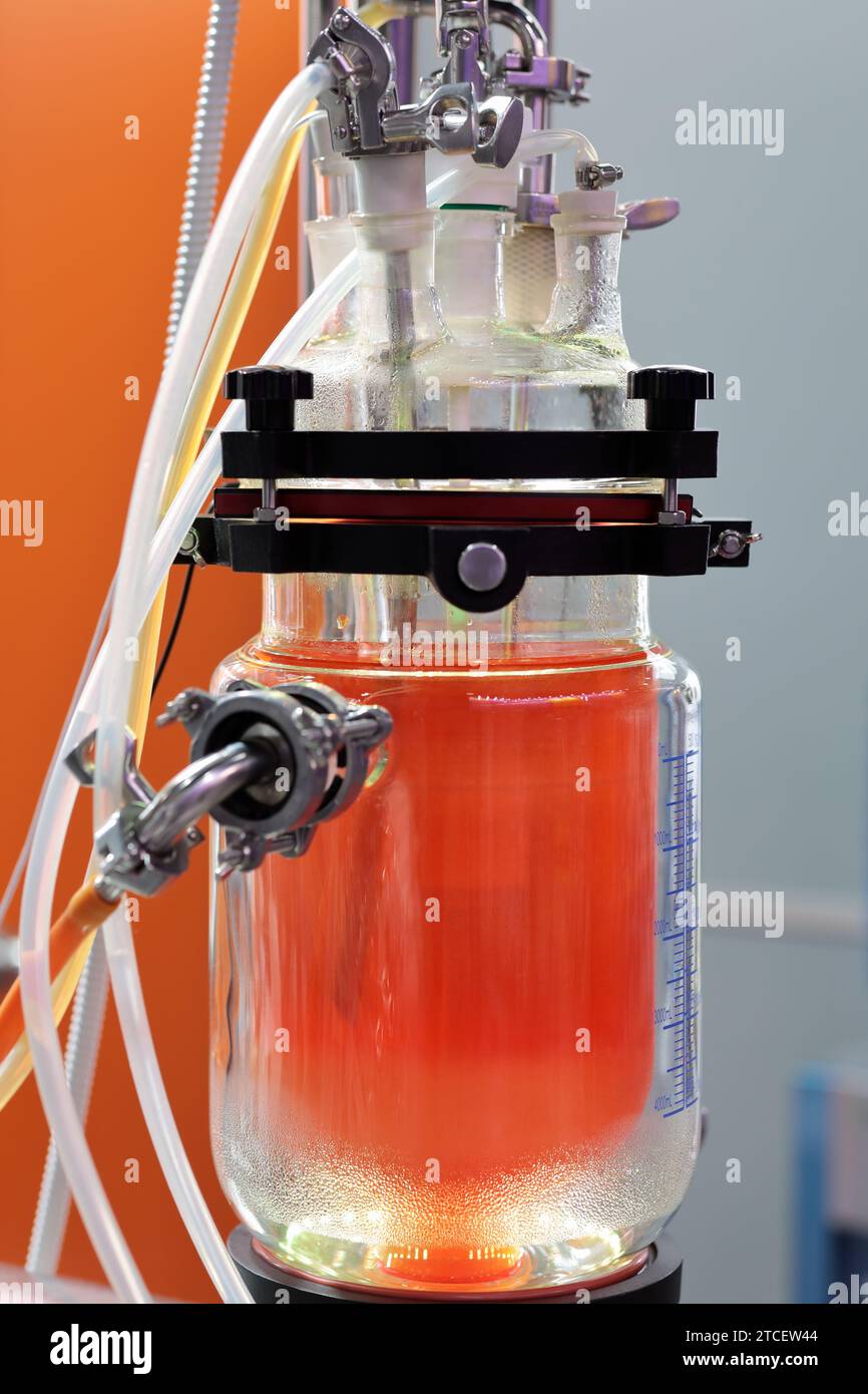 Primo piano del sistema di filtrazione a flusso tangenziale da laboratorio. Messa a fuoco selettiva. Foto Stock