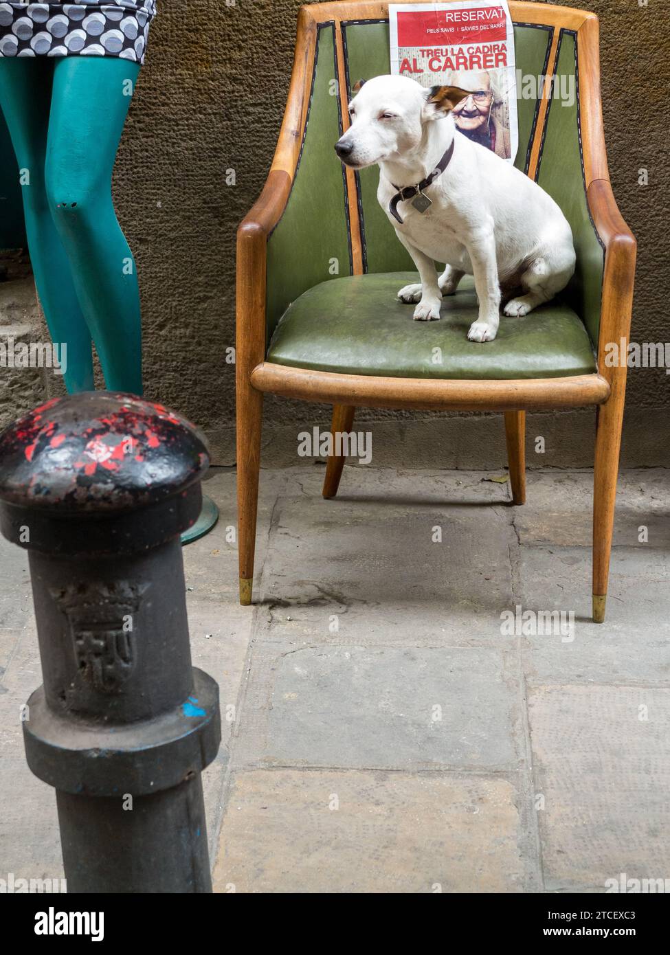 Cane seduto su una sedia accanto a un manichino. Barcellona, Spagna Foto Stock