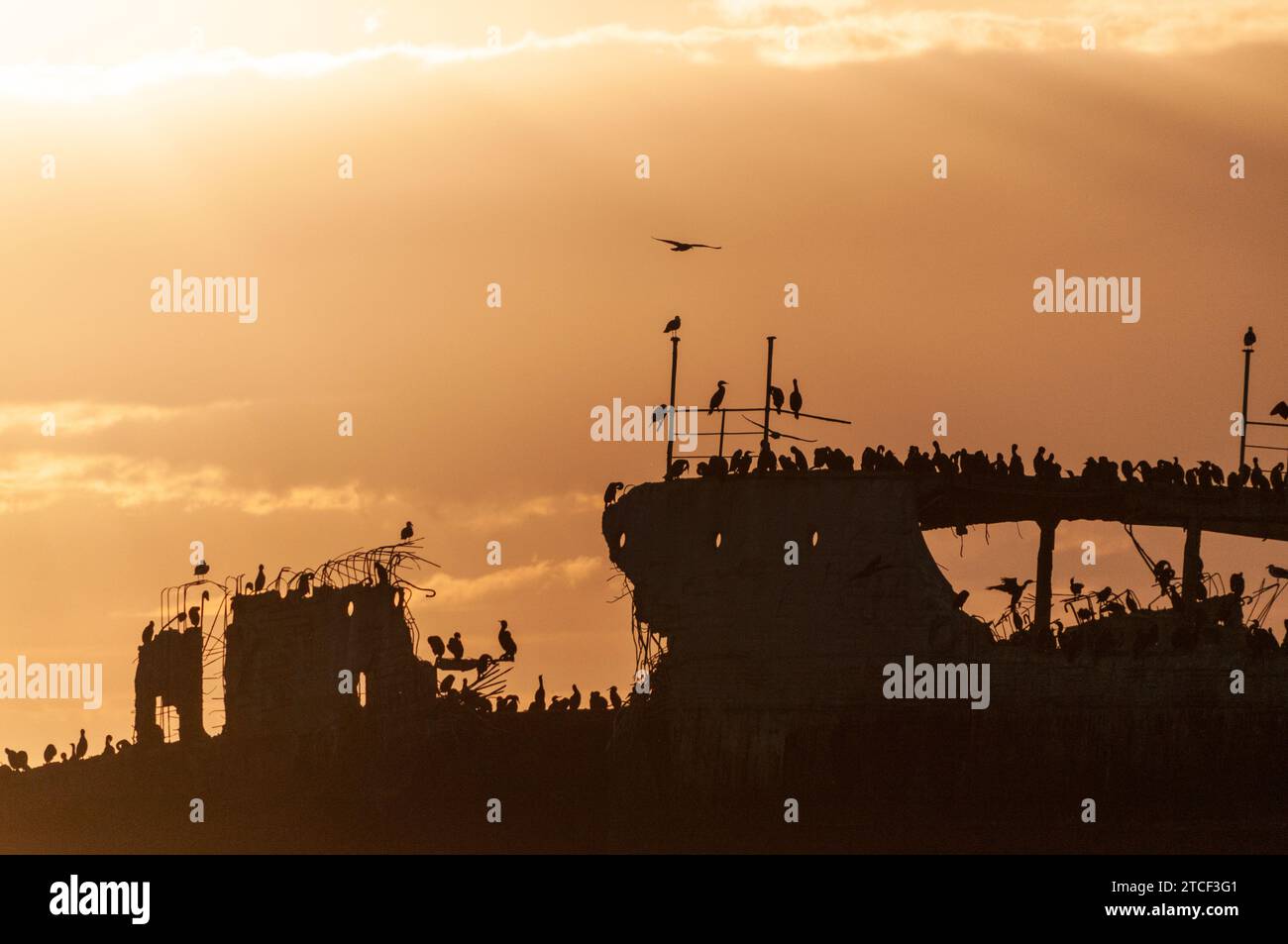 Silhoutte della SS Palo Alto vicino al tramonto, un vecchio naufragio della seconda guerra mondiale al largo della costa di Aptos, California Foto Stock