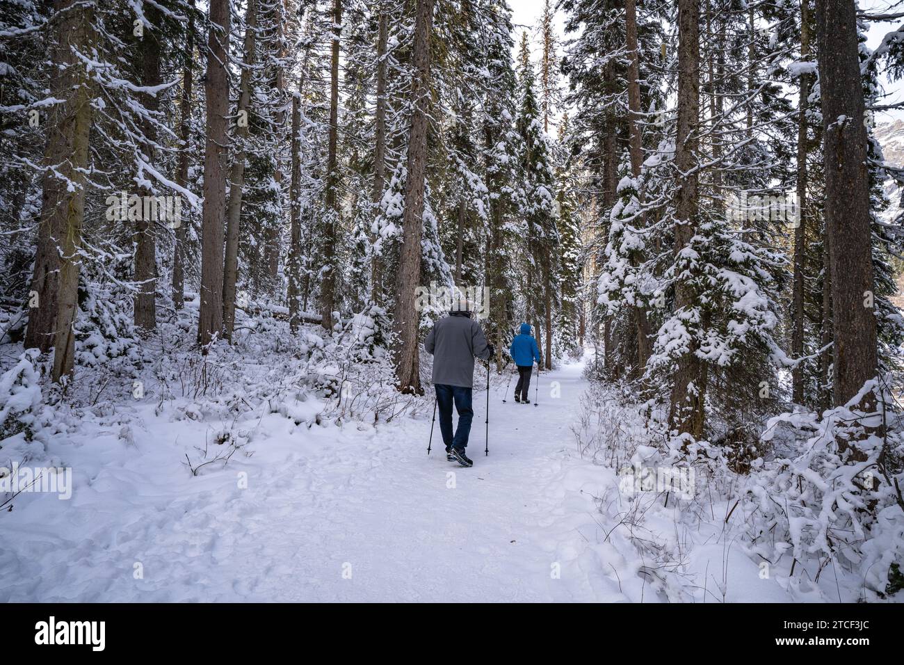 Gli escursionisti non identificabili camminano con le racchette da sci su sentieri innevati in inverno Foto Stock