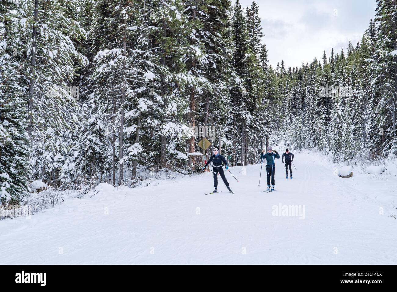 Sci di fondo sulla Moraine Lake Road in inverno Foto Stock