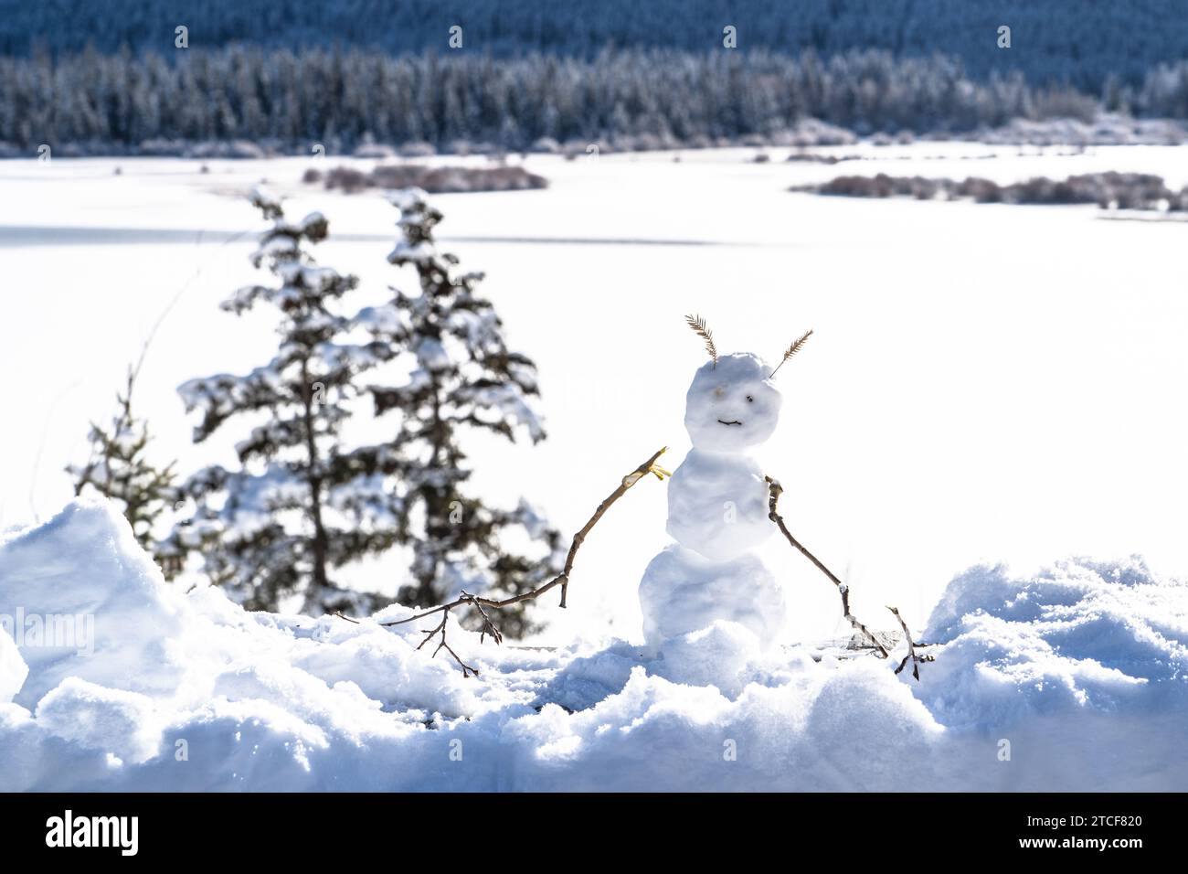 Simpatico pupazzo di neve con paesaggio invernale panoramico Foto Stock