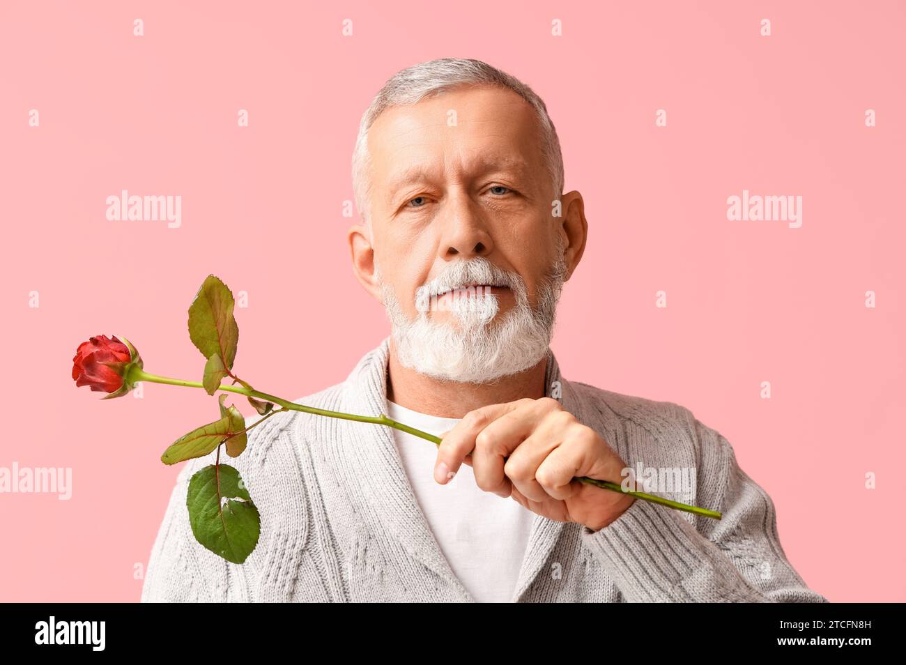 Uomo maturo con fiori di rosa su sfondo rosa. Festa di San Valentino Foto Stock