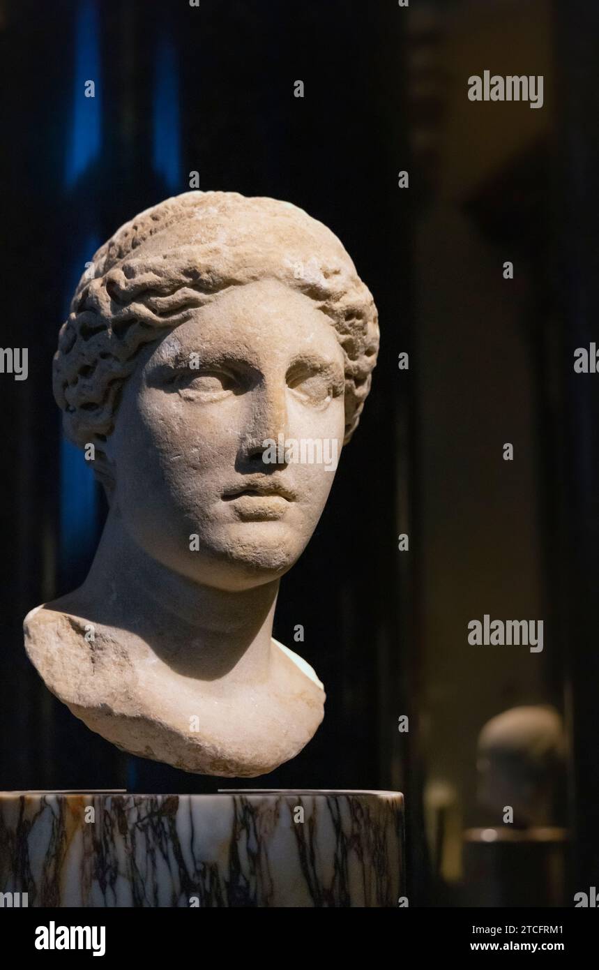 Hygieia : Capo della Dea greca Hygieia, 2 d.C., copia romana di un originale greco. Foto Stock Hygieia : Capo della Dea greca Hygieia, 2 d.C., copia romana di un originale greco. Foto Stock