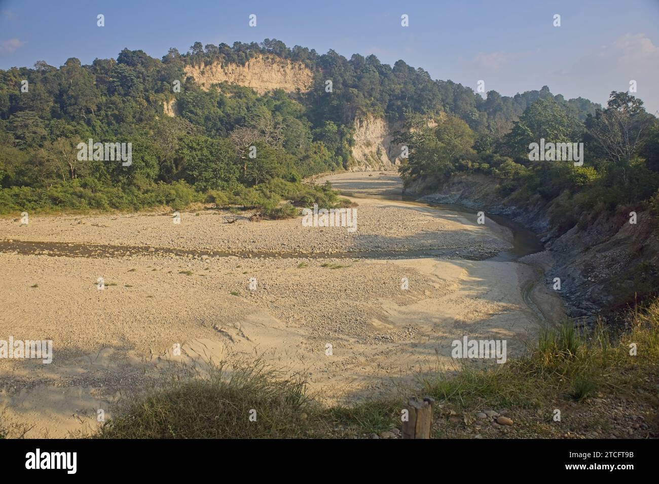 Tipica vista stagionale del Jim Corbett National Park. È un parco nazionale in India situato nel distretto di Nainital di Uttarakhand. Era la f Foto Stock