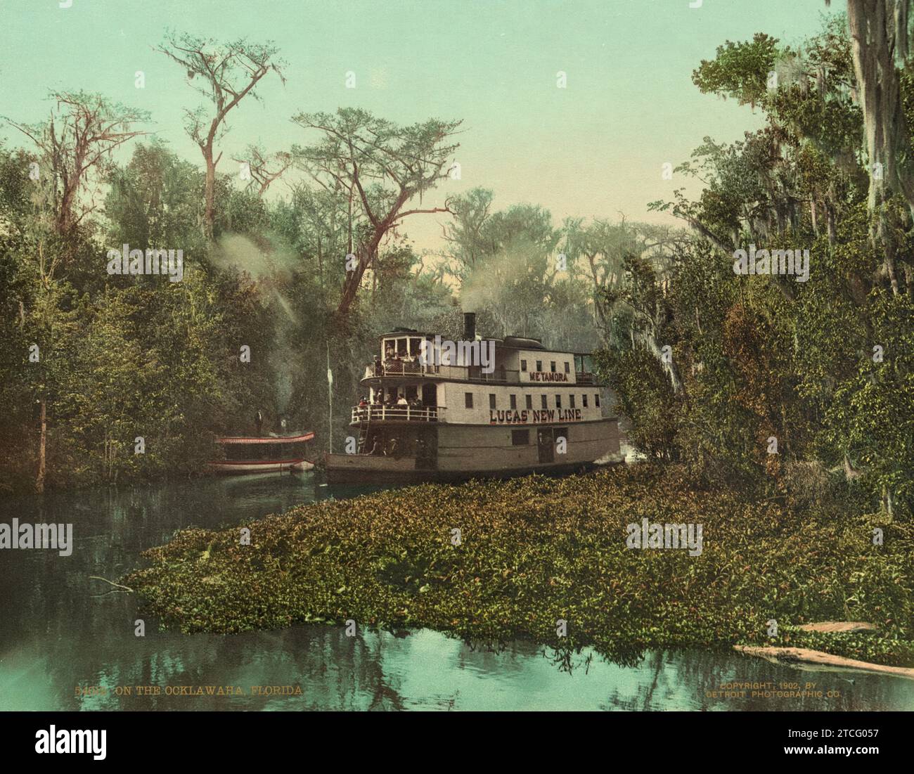 Palatka Metamora, Lucas New Line sul fiume Ocklawaha, Ocklawaha, Marion County, Florida 1902. Foto Stock
