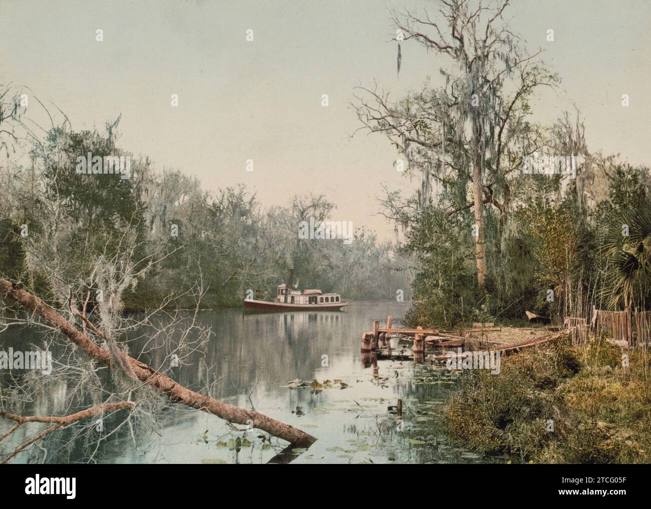 Rice Creek, Putnam County, Florida 1898. Foto Stock