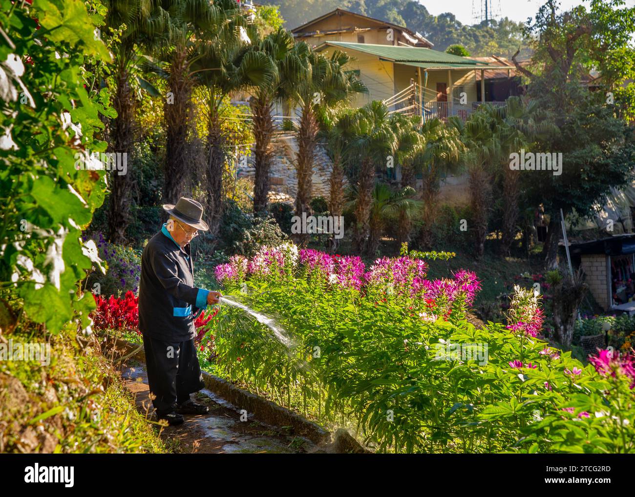 12 gennaio 2023 - Chiang Rai Thailandia - Un bellissimo giardino con fiori colorati e a più livelli viene girovagato ogni giorno da un vecchio con un cappello. Sullo sfondo Foto Stock