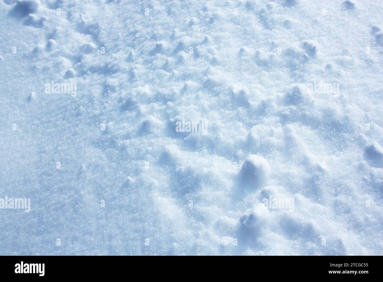 la consistenza della soffice neve invernale con grumi. Foto di alta qualità Foto Stock