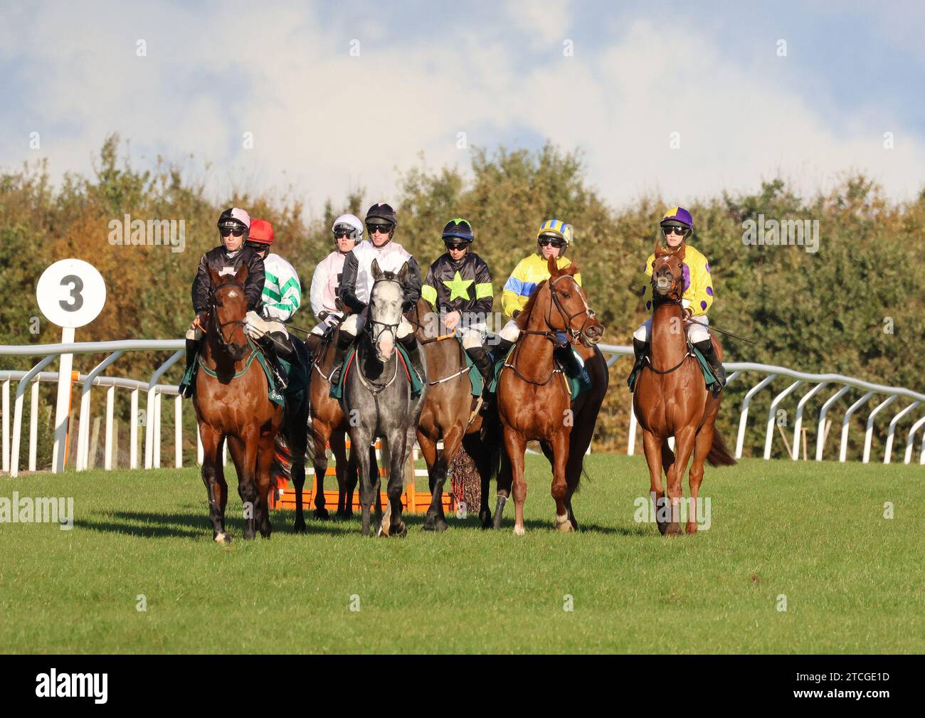 Lungo il Royal Racecourse, Lisburn, Irlanda del Nord. 10 novembre 2023. Il Ladbrokes Festival of Racing (giorno 1) è iniziato oggi dopo il rinvio della scorsa settimana. La gara più importante della giornata è stata l'OSTACOLO BOTTLEGREEN (GRADO 3) (4 anni+) con €29.500 per il vincitore. La gara è stata vinta da Irish Point (1) (tunica mezza bianca e mezza rosa) guidata da Jack Kennedy e allenata da Gordon Elliott. Cavalli da corsa al nastro prima della corsa di caccia Nazionale. Crediti: CAZIMB/Alamy Live News. Foto Stock