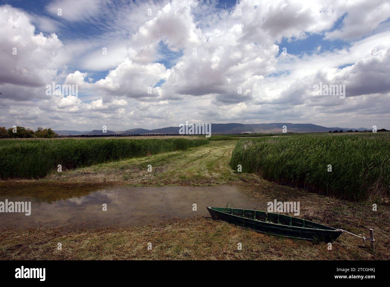 Madrid 06-06-2008 situazione di siccità nel parco nazionale Tablas de Daimiel nella provincia di Ciudad Real foto Jaime García. Crediti: Album / Archivo ABC / Jaime García Foto Stock