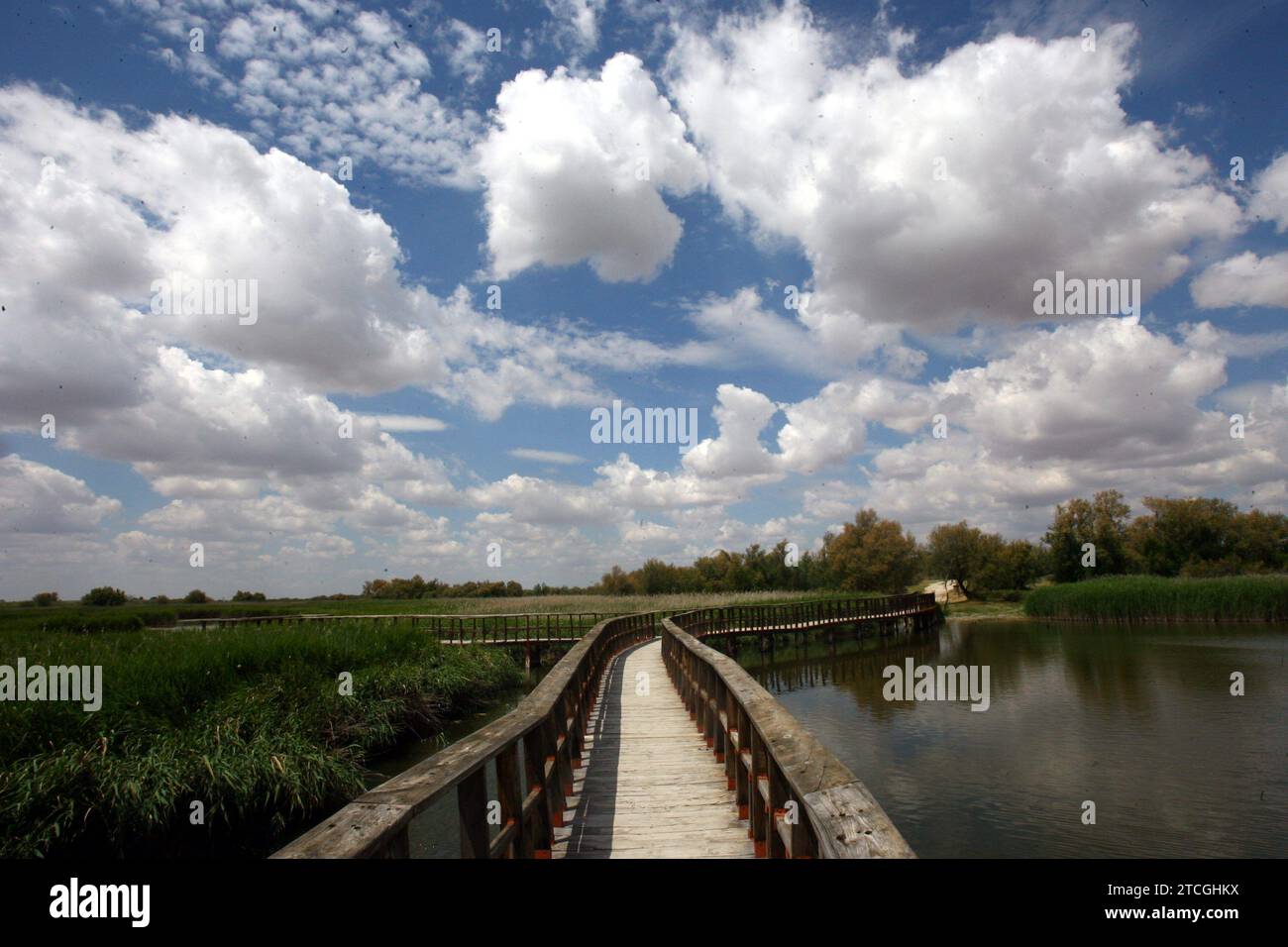 Madrid 06-06-2008 situazione di siccità nel parco nazionale Tablas de Daimiel nella provincia di Ciudad Real foto Jaime García. Crediti: Album / Archivo ABC / Jaime García Foto Stock