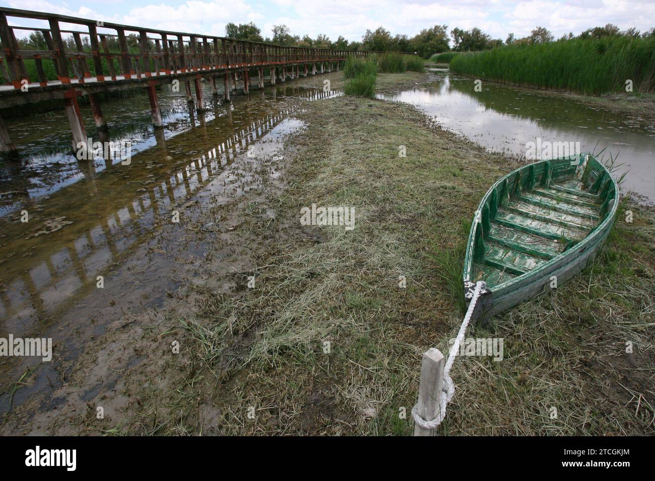 Madrid 06-06-2008 situazione di siccità nel parco nazionale Tablas de Daimiel nella provincia di Ciudad Real foto Jaime García. Crediti: Album / Archivo ABC / Jaime García Foto Stock
