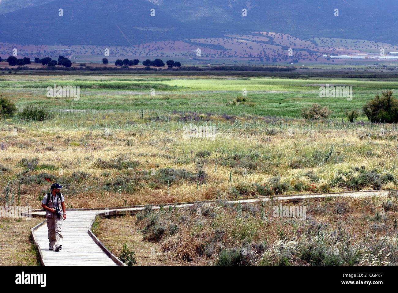 Madrid 06-06-2008 situazione di siccità nel parco nazionale Tablas de Daimiel nella provincia di Ciudad Real foto Jaime García. Crediti: Album / Archivo ABC / Jaime García Foto Stock