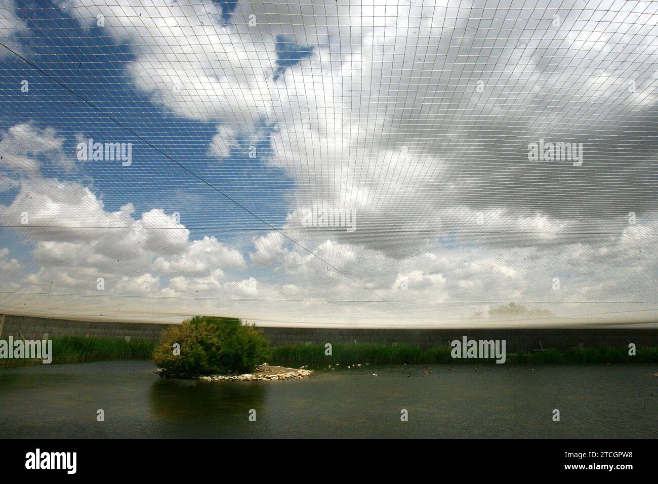 Madrid 06-06-2008 situazione di siccità nel parco nazionale Tablas de Daimiel nella provincia di Ciudad Real foto Jaime García. Crediti: Album / Archivo ABC / Jaime García Foto Stock
