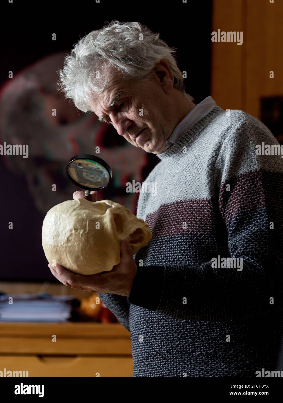 Madrid, 18/11/2016. Intervista a Juan Luis Arsuaga Ferreras, paleontropologo spagnolo. Foto: Ignacio Gil ARCHDC. Crediti: Album / Archivo ABC / Ignacio Gil Foto Stock