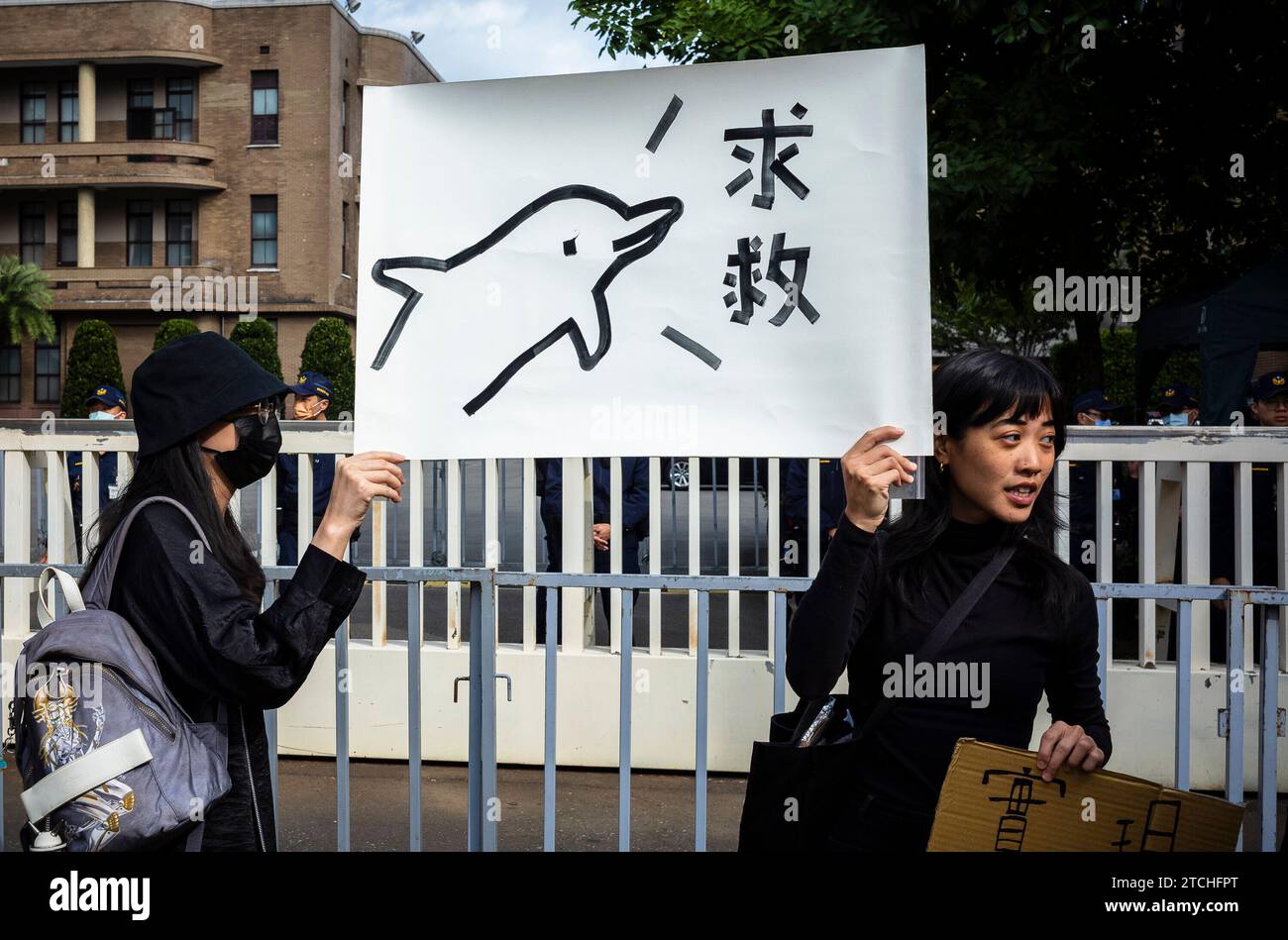 Gli attivisti tengono cartelli che protestano contro le esibizioni di delfini al di fuori dello Yuan esecutivo a Taipei, Taiwan, il 13/12/2023, chiedendo al governo di vietare le esibizioni di balene e delfini secondo il Wildlife Conservation Act. La dimostrazione presentava segni raffiguranti delfini con lacrime di sangue e messaggi come "l'interazione con i delfini è antieducativa" e "gli spettacoli con i delfini sono abusi", chiedendo che il presidente del Consiglio "affari dell'Oceano" adempia alla promessa che "l'educazione marina non ha bisogno di usare la vita marina in questo modo" di Wiktor Dabkowski Foto Stock