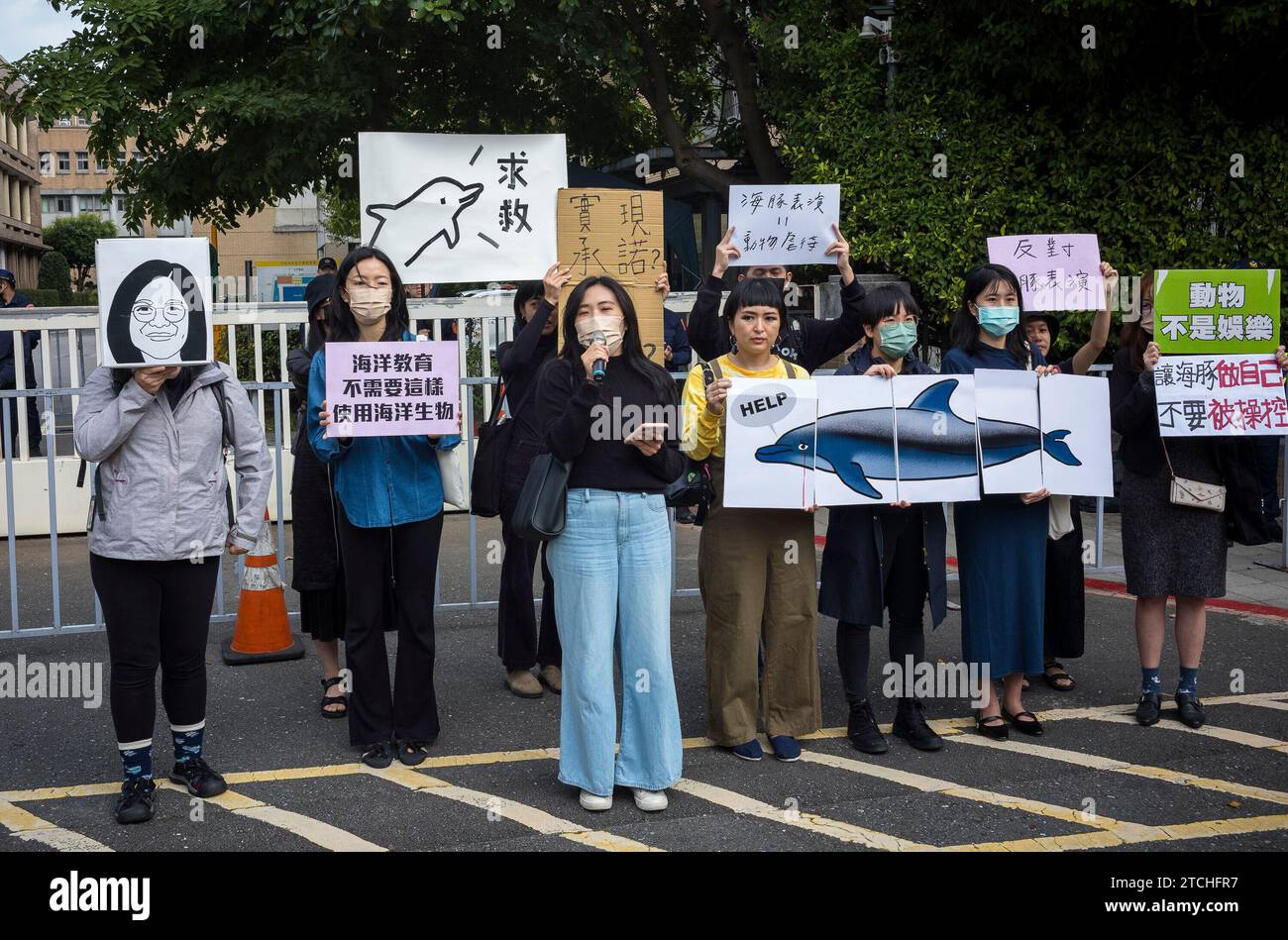 Gli attivisti tengono cartelli che protestano contro le esibizioni di delfini al di fuori dello Yuan esecutivo a Taipei, Taiwan, il 13/12/2023, chiedendo al governo di vietare le esibizioni di balene e delfini secondo il Wildlife Conservation Act. La dimostrazione presentava segni raffiguranti delfini con lacrime di sangue e messaggi come "l'interazione con i delfini è antieducativa" e "gli spettacoli con i delfini sono abusi", chiedendo che il presidente del Consiglio "affari dell'Oceano" adempia alla promessa che "l'educazione marina non ha bisogno di usare la vita marina in questo modo" di Wiktor Dabkowski Foto Stock