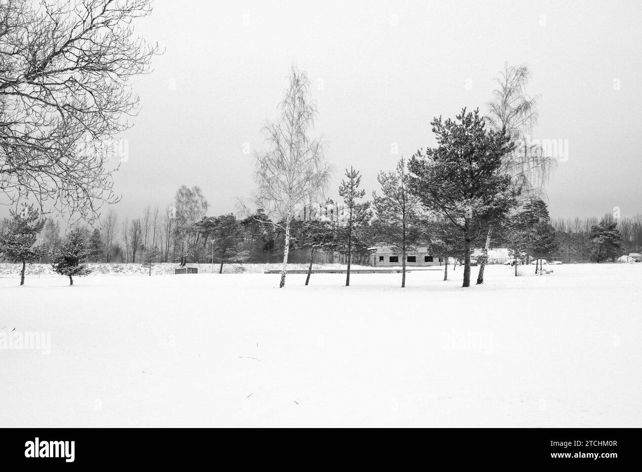 Una tranquilla scena invernale di un paesaggio innevato a Liepaja, Lettonia. Foto Stock