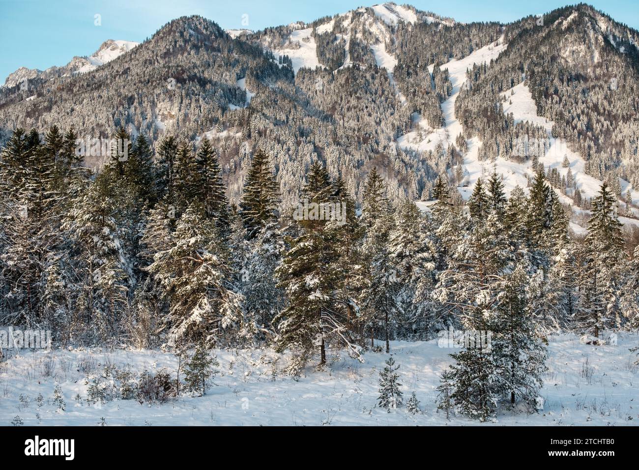 Paesaggio, montagne, pianure alluvionali dell'Isar, natura, natura, vino, alberi, foto invernale, Natale, cielo blu, spot, Lenggries, Baviera, Germania Foto Stock