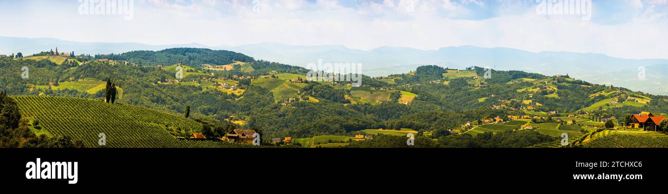 Panorama dei vigneti nella stiria meridionale in Austria. Paesaggio della zona di Leibnitz da Kogelberg. Destinazione turistica, verdi colline di uva e Foto Stock