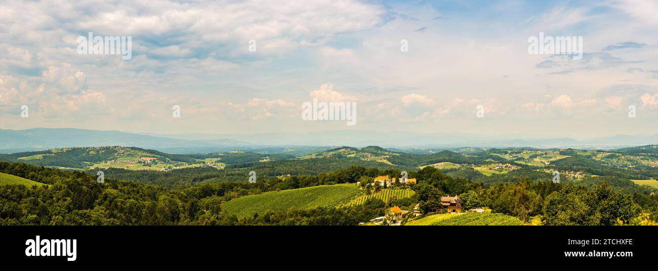Vigneti panorama Leibnitz zona famosa destinazione paese del vino, sud della Stiria, Austria. Destinazione turistica. Verdi colline di coltivazioni di uva e le montagne Foto Stock