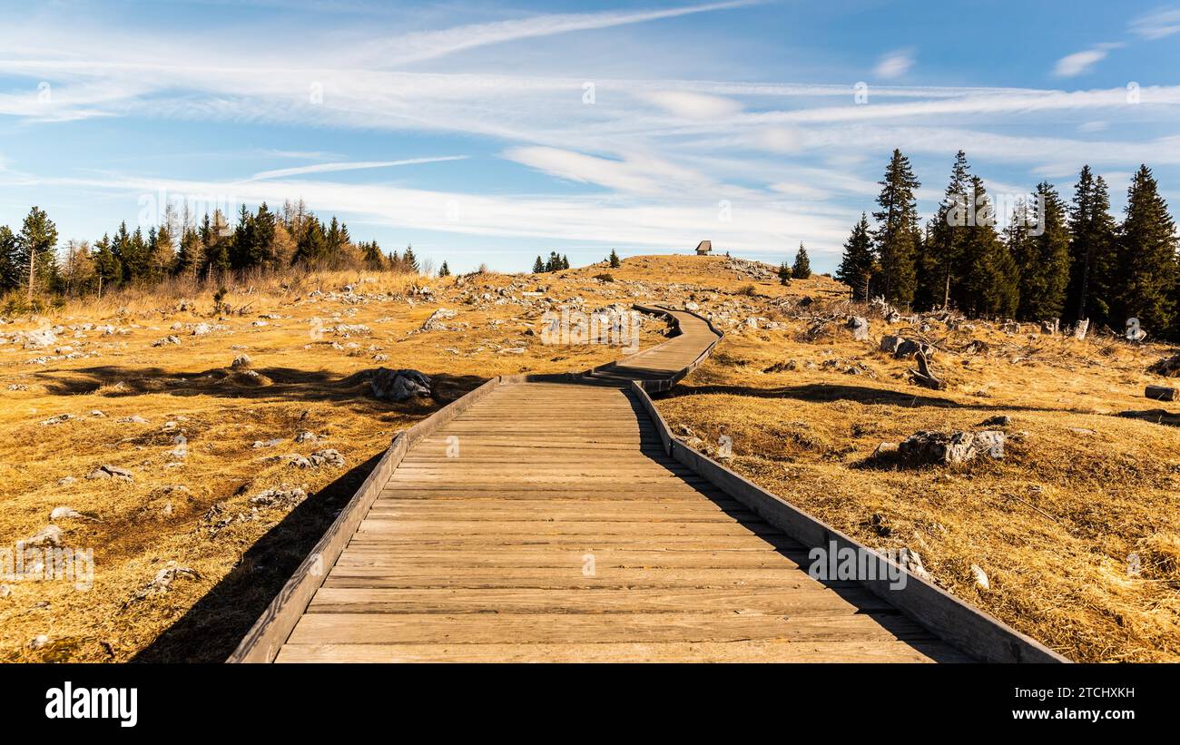 Sentiero in legno in cima alla montagna schockl a Graz Austria che porta al punto di vista. Paesaggio di montagna Foto Stock