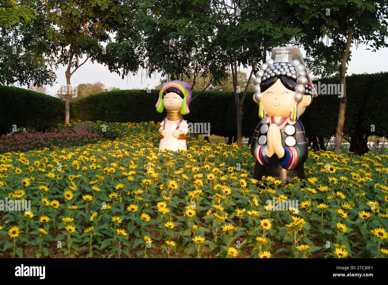 CHIANG mai, THAILANDIA - 12 dicembre 2023: Veduta del giardino di fiori durante il festival di Capodanno all'affascinante Chiang mai Flower Festival 2024, Thail Foto Stock