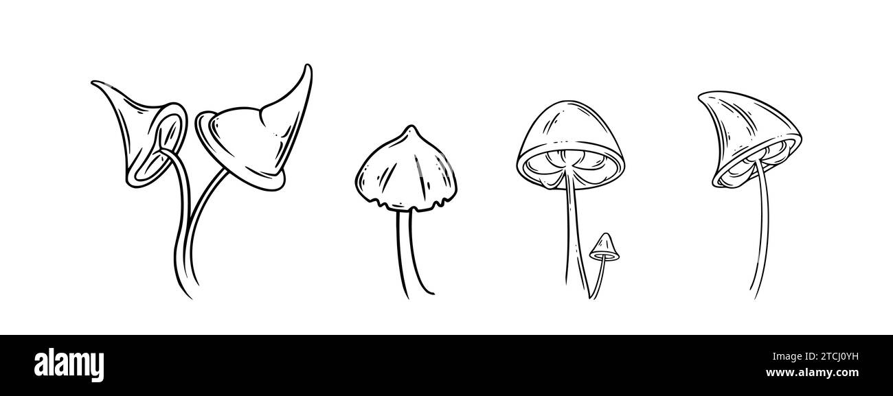 Set di funghi avvelenati. Funghi psichedelici per i disegni di halloween. Illustrazione vettoriale isolata su sfondo bianco Illustrazione Vettoriale