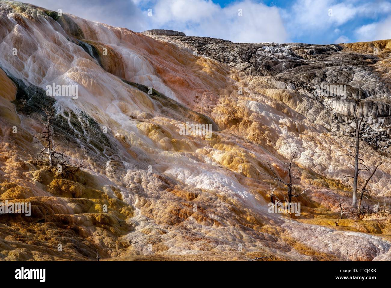 Mammoth Hot Springs nel Parco Nazionale di Yellowstone Foto Stock