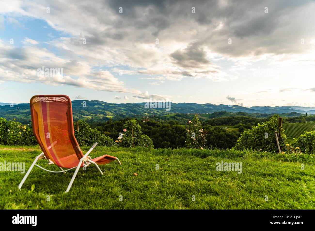 Vista dei vigneti sloveni in estate nella Stiria meridionale, località turistica austriaca, destinazione di viaggio. Famosa strada a forma di cuore Foto Stock