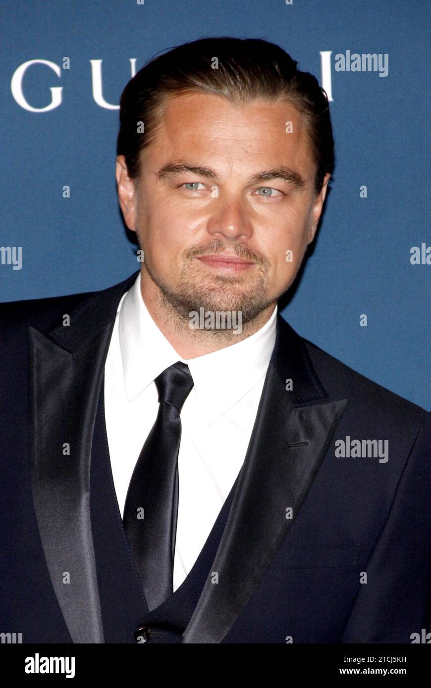 Leonardo DiCaprio al LACMA 2013 Art + Film Gala in onore di Martin Scorsese e David Hockney tenutosi al LACMA di Los Angeles, USA il 2 novembre Foto Stock