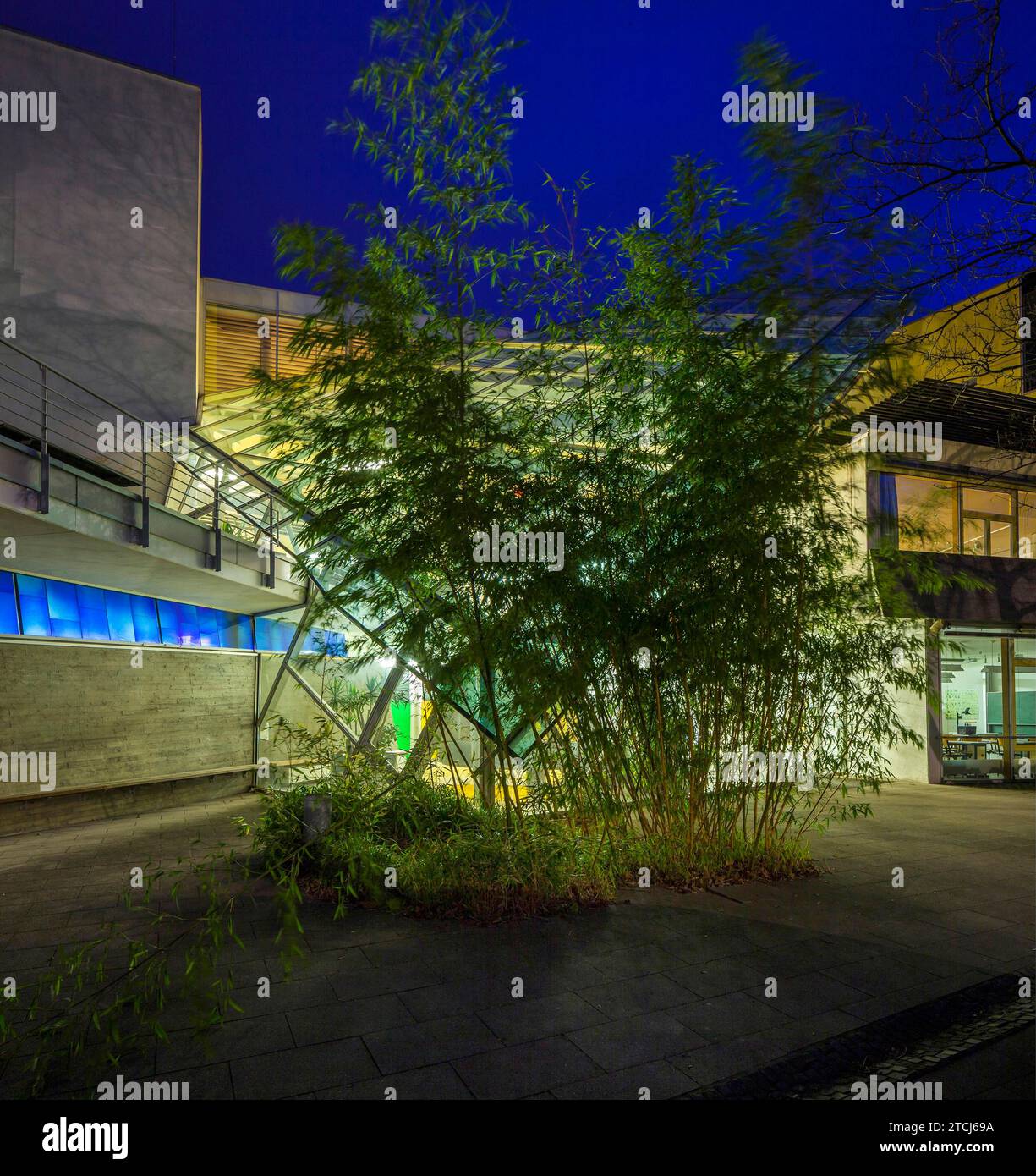 St Benno Grammar School Foto Stock