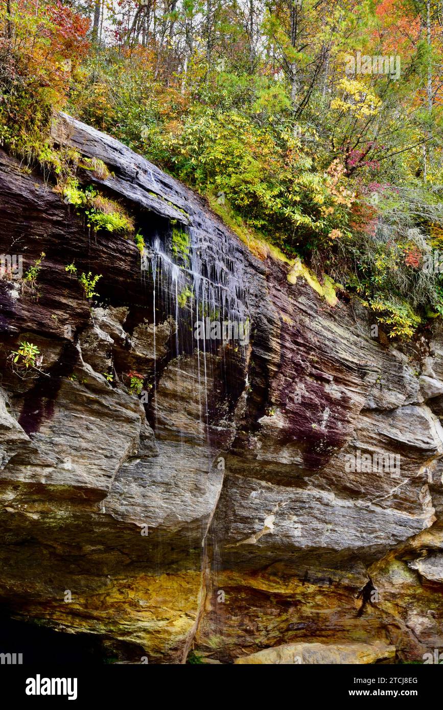 A Bridal Veil Falls, vicino alle Highlands, North Carolina in autunno Foto Stock