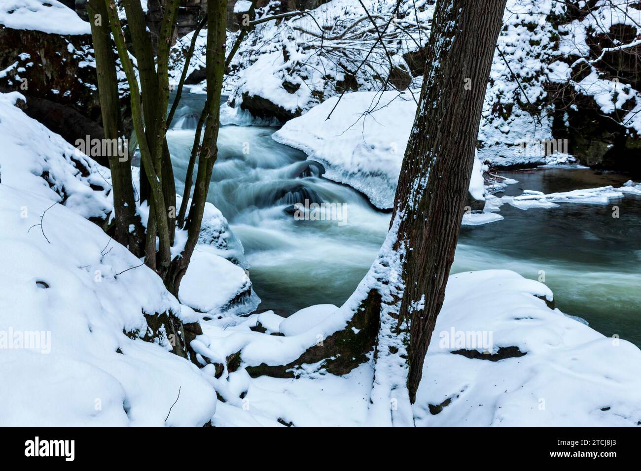 Liebethaler Grund vicino a Lohmen, nella Svizzera sassone Foto Stock