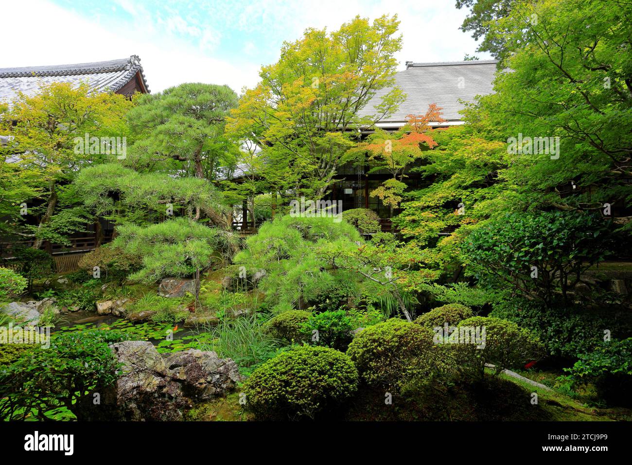 Giardino al Tempio di Eikan-do, un importante tempio buddista con arte antica e giardino zen a Kyoto, Giappone Foto Stock