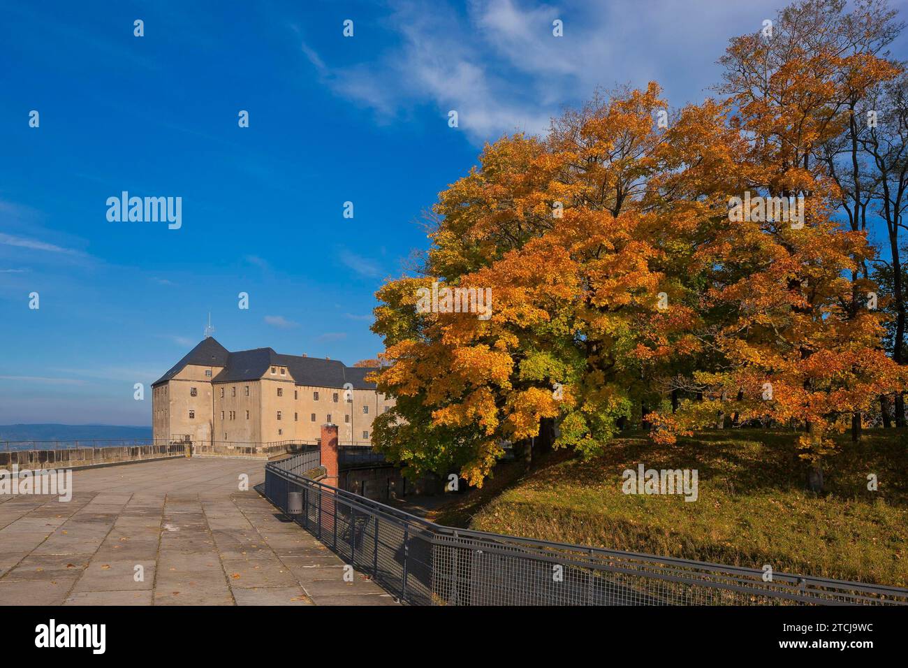 Fortezza di Koenigstein Foto Stock