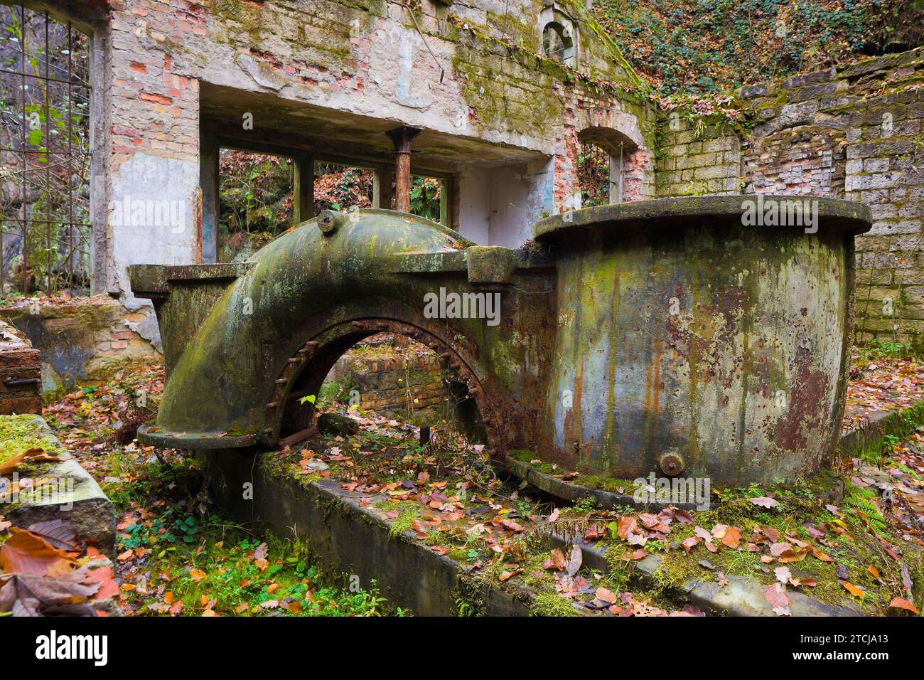 Liebethaler Grund vicino a Lohmen, nella Svizzera sassone Foto Stock