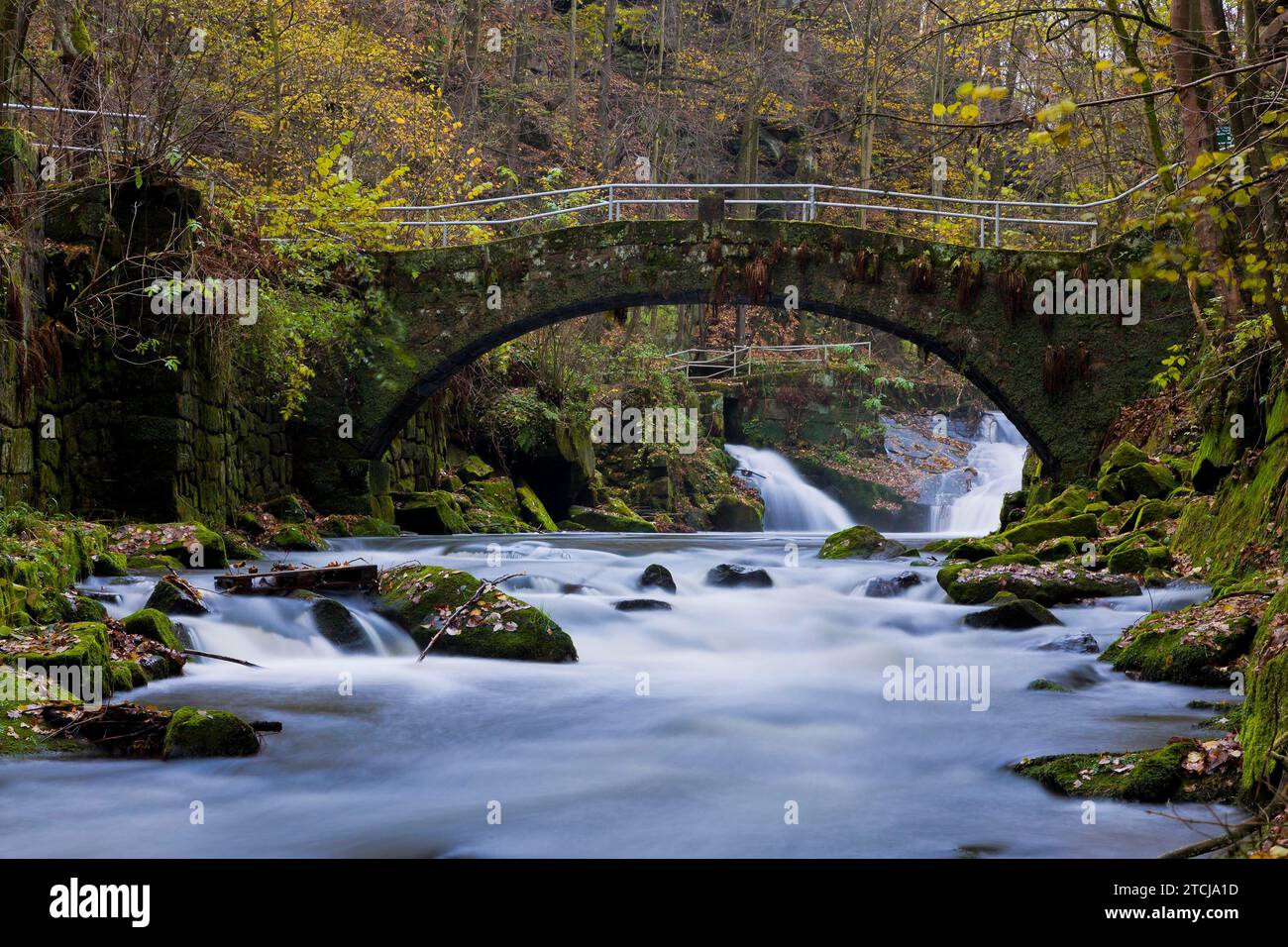 Liebethaler Grund vicino a Lohmen, nella Svizzera sassone Foto Stock