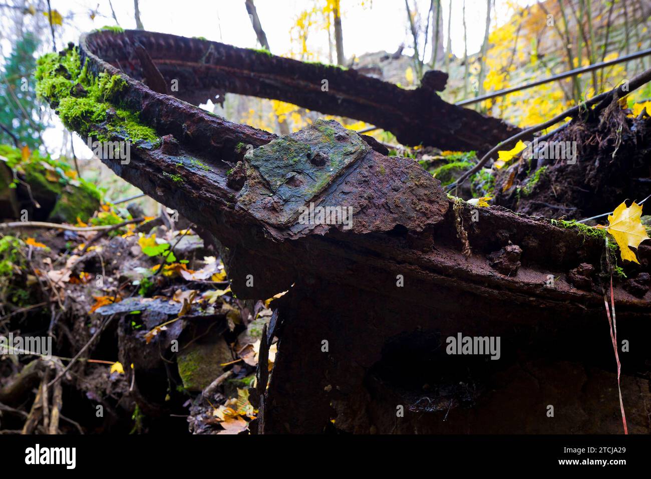 Liebethaler Grund vicino a Lohmen, nella Svizzera sassone Foto Stock