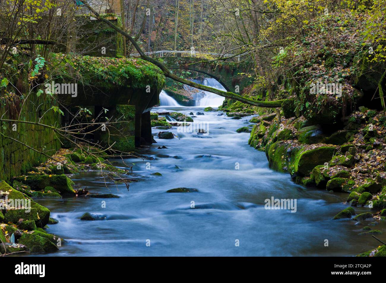 Liebethaler Grund vicino a Lohmen, nella Svizzera sassone Foto Stock