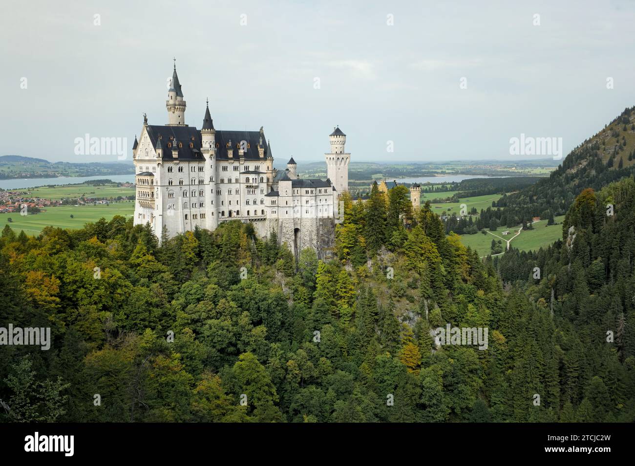 Un maestoso castello bianco sorge in cima a una vivace e lussureggiante foresta verde, creando un paesaggio pittoresco Foto Stock