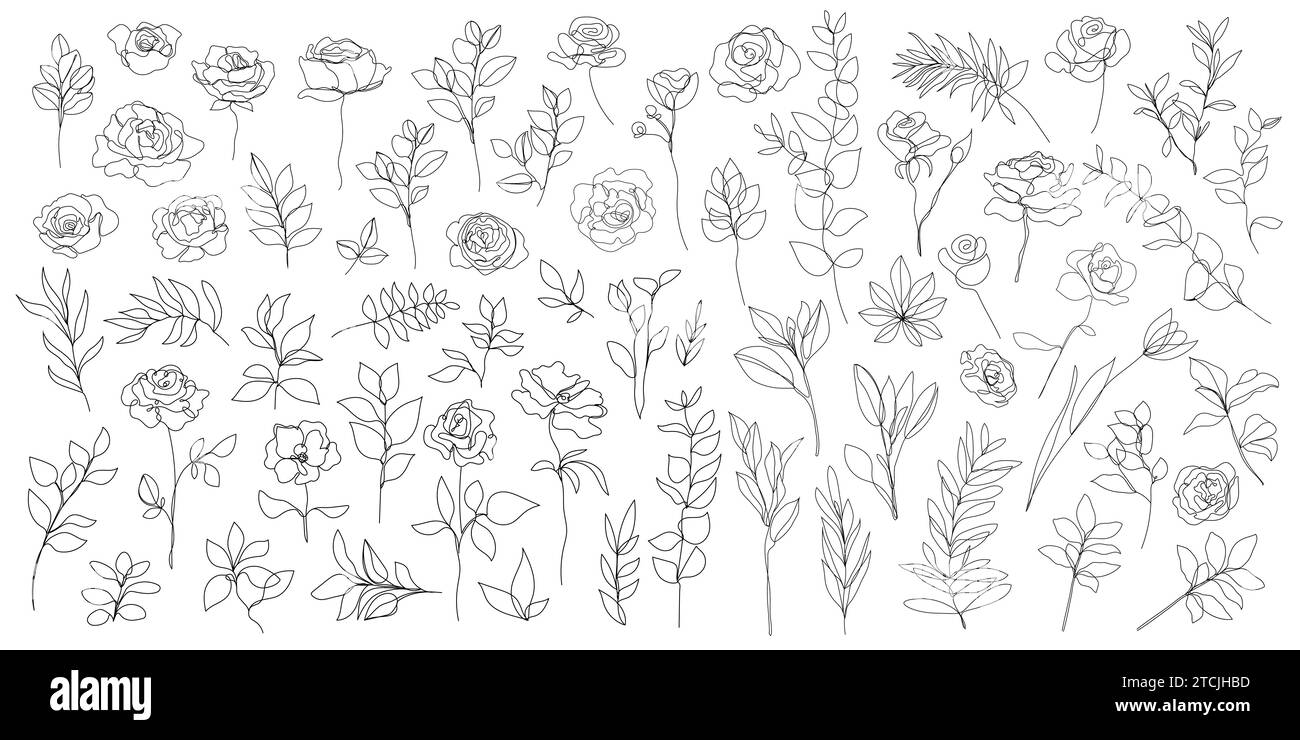Insieme vettoriale di fiori artistici di una linea, piante monoline continue, rose, foglie, rami. Loghi Blossom, illustrazione minimalista. Schizzo semplice, nero Illustrazione Vettoriale