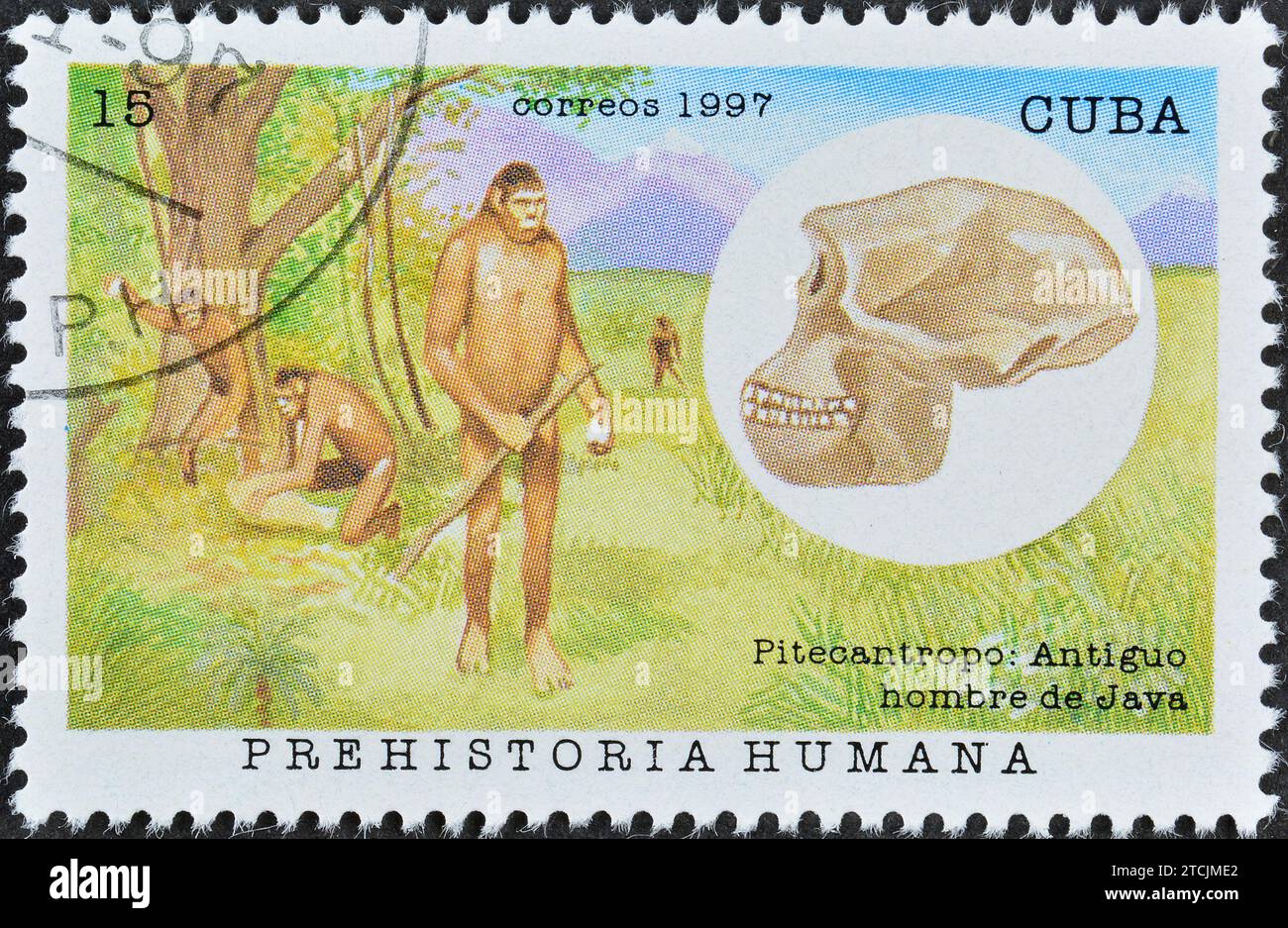 Francobollo cancellato stampato da Cuba, che mostra Pithecanthropus (uomo di Java), Hominids, circa 1997. Foto Stock