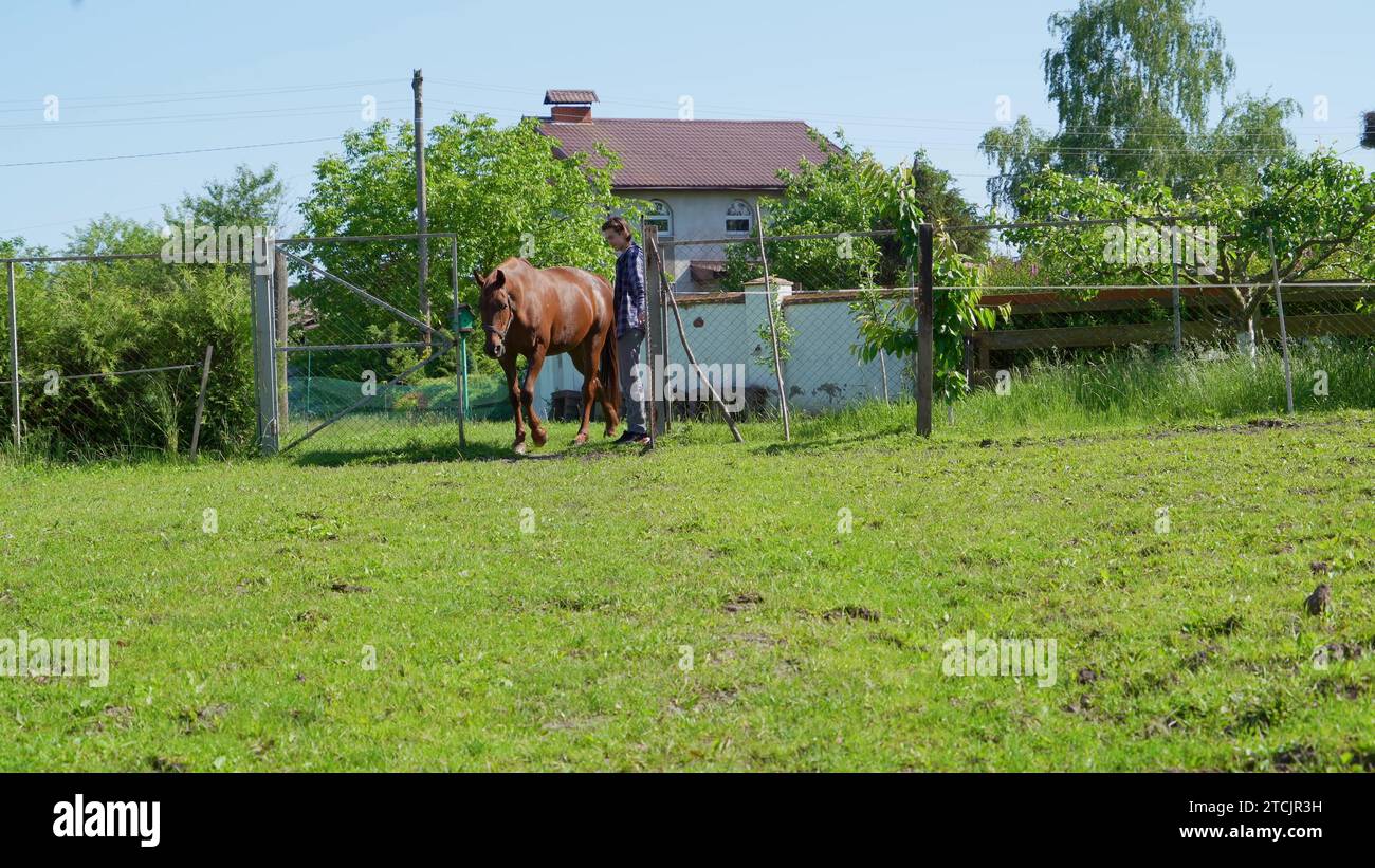 cavallo marrone, in un villaggio vicino alle case, vuole essere rilasciato nel pascolo. Il cavallo ondeggia la criniera e la coda, allontanando fastidiosi insenature Foto Stock