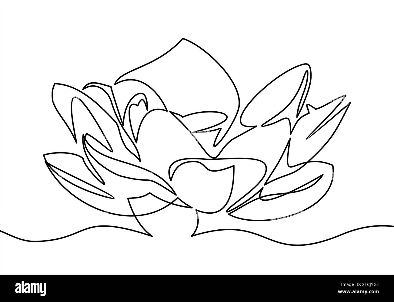 Fiori di orchidea disegnati a mano. Disegno a una linea. illustrazione Illustrazione Vettoriale